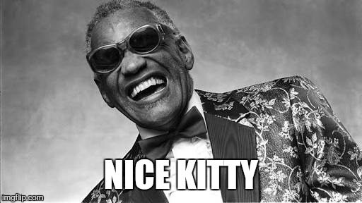 NICE KITTY | made w/ Imgflip meme maker