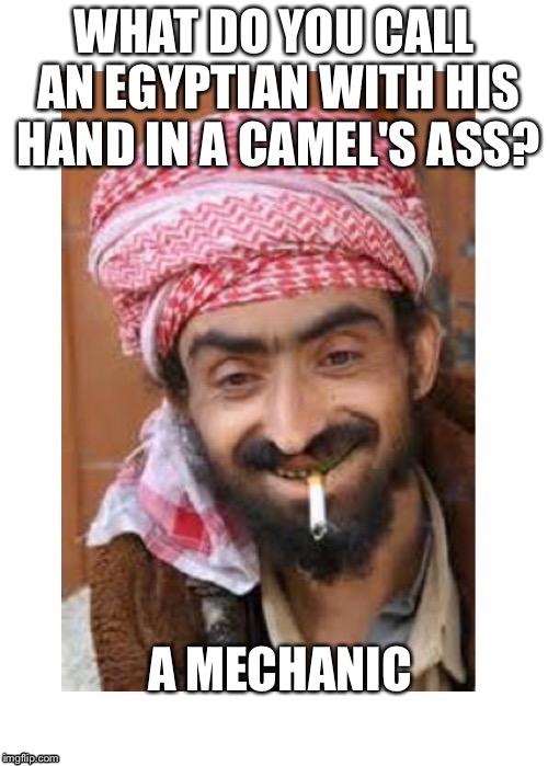Comic of the casbah | WHAT DO YOU CALL AN EGYPTIAN WITH HIS HAND IN A CAMEL'S ASS? A MECHANIC | image tagged in comic of the casbah,successful arab guy,arab,saudi | made w/ Imgflip meme maker