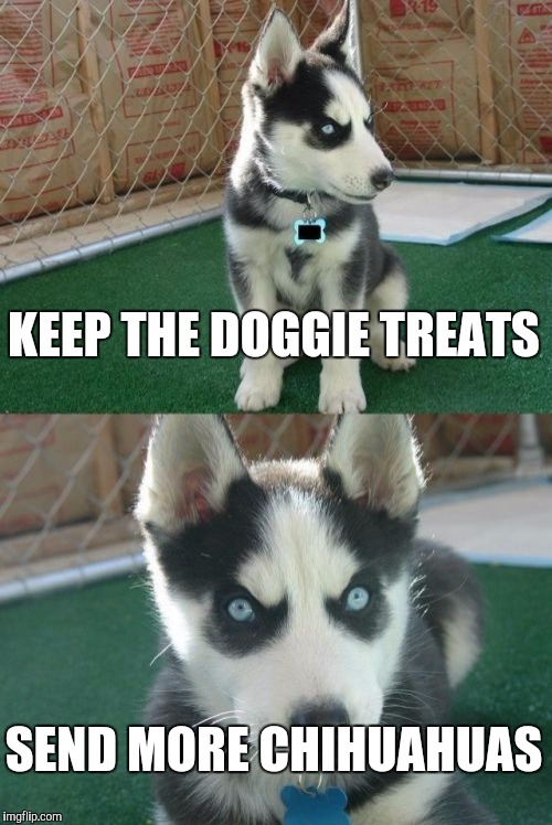 Insanity Puppy | KEEP THE DOGGIE TREATS; SEND MORE CHIHUAHUAS | image tagged in memes,insanity puppy | made w/ Imgflip meme maker