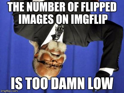Too Damn Low | THE NUMBER OF FLIPPED IMAGES ON IMGFLIP; IS TOO DAMN LOW | image tagged in memes,too damn high,too damn low | made w/ Imgflip meme maker