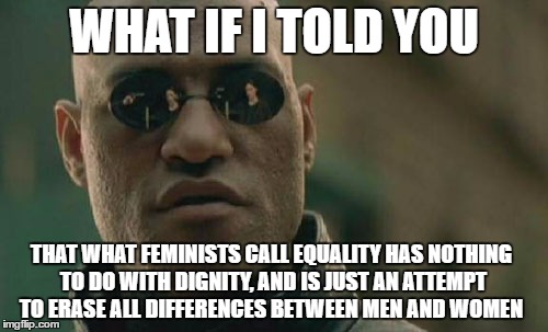 Destroying diversity | WHAT IF I TOLD YOU; THAT WHAT FEMINISTS CALL EQUALITY HAS NOTHING TO DO WITH DIGNITY, AND IS JUST AN ATTEMPT TO ERASE ALL DIFFERENCES BETWEEN MEN AND WOMEN | image tagged in memes,matrix morpheus | made w/ Imgflip meme maker