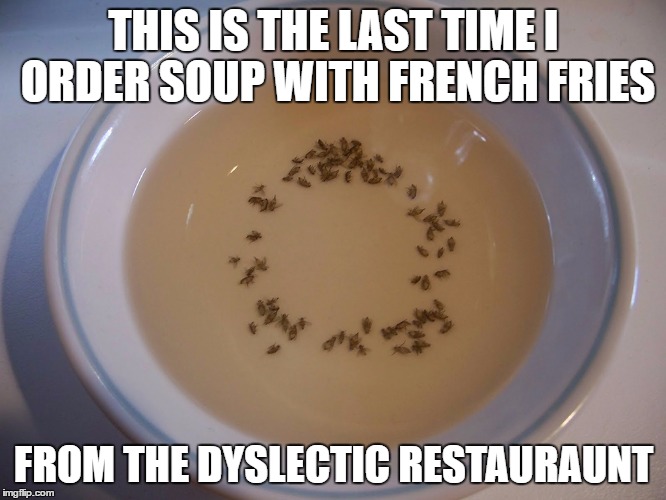 French Flies | THIS IS THE LAST TIME I ORDER SOUP WITH FRENCH FRIES; FROM THE DYSLECTIC RESTAURAUNT | image tagged in flies,french | made w/ Imgflip meme maker