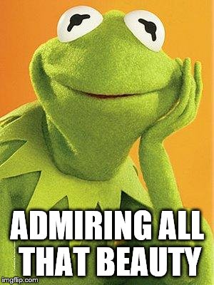 ADMIRING ALL THAT BEAUTY | image tagged in kermit the frog | made w/ Imgflip meme maker