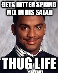 Thug Life | GETS BITTER SPRING MIX IN HIS SALAD; THUG LIFE | image tagged in thug life,cooking,food,memes,lol,vegan | made w/ Imgflip meme maker
