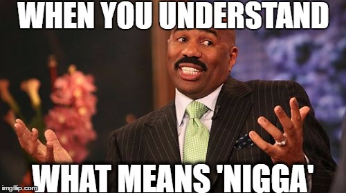 WHEN YOU UNDERSTAND; WHAT MEANS 'NIGGA' | image tagged in memes,steve harvey | made w/ Imgflip meme maker