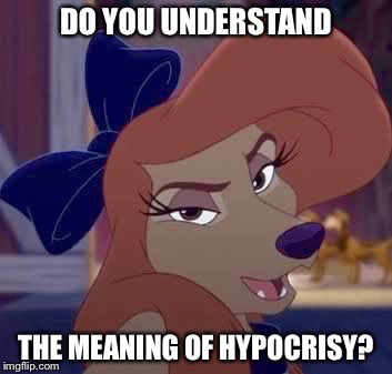 Do You Understand The Meaning Of Hypocrisy  | DO YOU UNDERSTAND; THE MEANING OF HYPOCRISY? | image tagged in dixie,memes,disney,the fox and the hound 2,reba mcentire,dog | made w/ Imgflip meme maker