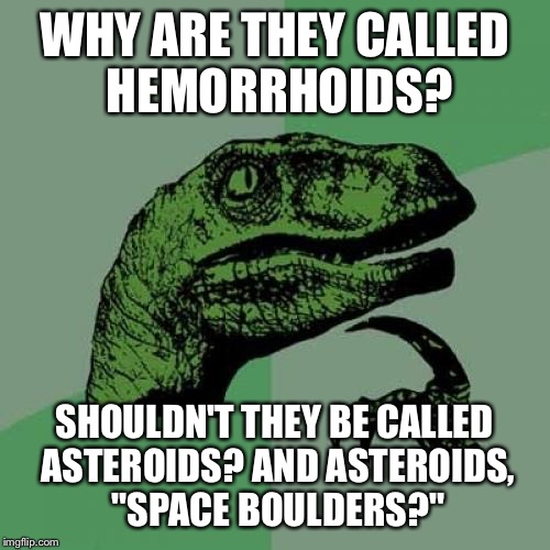 Philosoraptor | WHY ARE THEY CALLED HEMORRHOIDS? SHOULDN'T THEY BE CALLED ASTEROIDS? AND ASTEROIDS, "SPACE BOULDERS?" | image tagged in memes,philosoraptor | made w/ Imgflip meme maker