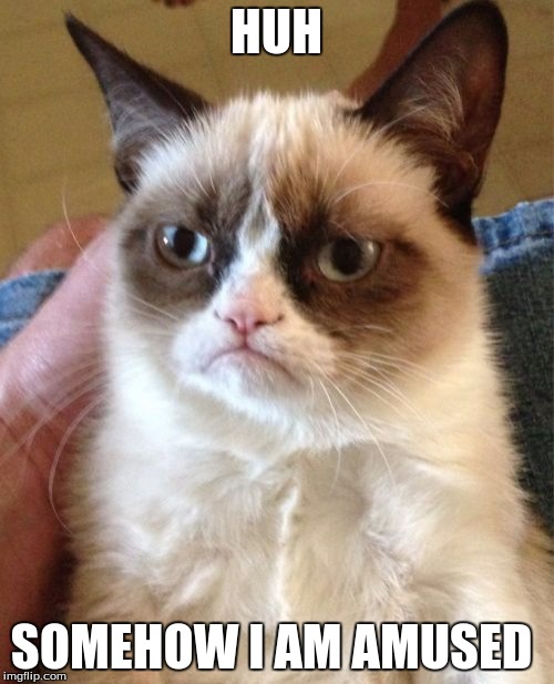 Grumpy Cat Meme | HUH SOMEHOW I AM AMUSED | image tagged in memes,grumpy cat | made w/ Imgflip meme maker
