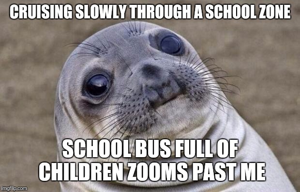 Irony level: expert | CRUISING SLOWLY THROUGH A SCHOOL ZONE; SCHOOL BUS FULL OF CHILDREN ZOOMS PAST ME | image tagged in memes,awkward moment sealion,irony,school | made w/ Imgflip meme maker