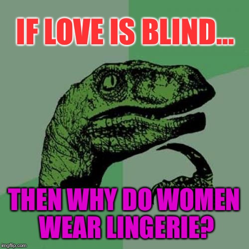 Philosoraptor Meme | IF LOVE IS BLIND... THEN WHY DO WOMEN WEAR LINGERIE? | image tagged in memes,philosoraptor | made w/ Imgflip meme maker