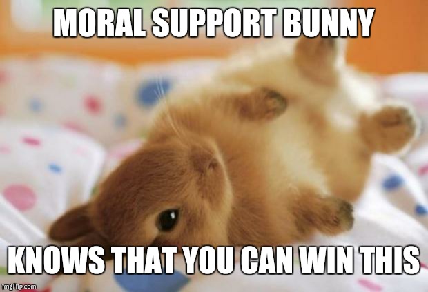 Bunny | MORAL SUPPORT BUNNY; KNOWS THAT YOU CAN WIN THIS | image tagged in bunny | made w/ Imgflip meme maker