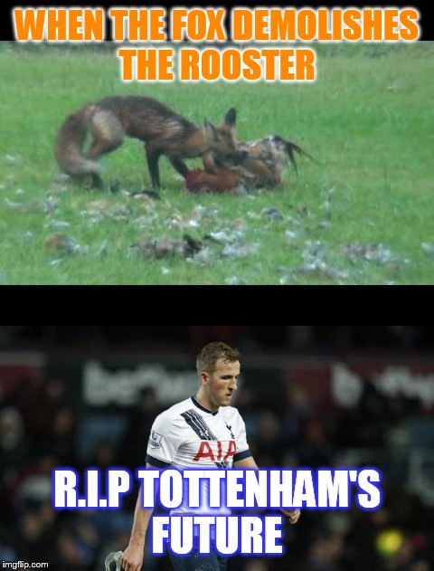 Leicester City vs Tottenham Hotspur  | WHEN THE FOX DEMOLISHES THE ROOSTER; R.I.P TOTTENHAM'S FUTURE | image tagged in football | made w/ Imgflip meme maker