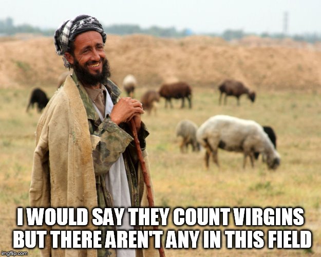 Shepard | I WOULD SAY THEY COUNT VIRGINS BUT THERE AREN'T ANY IN THIS FIELD | image tagged in shepard | made w/ Imgflip meme maker