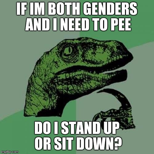 Ever think of that? | IF IM BOTH GENDERS AND I NEED TO PEE; DO I STAND UP OR SIT DOWN? | image tagged in memes,philosoraptor | made w/ Imgflip meme maker