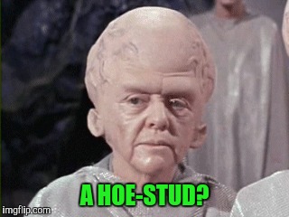 A HOE-STUD? | made w/ Imgflip meme maker