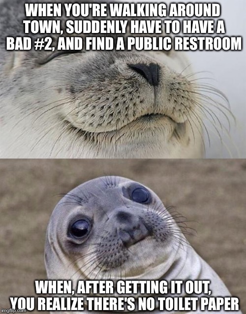 Short Satisfaction VS Truth Meme | WHEN YOU'RE WALKING AROUND TOWN, SUDDENLY HAVE TO HAVE A BAD #2, AND FIND A PUBLIC RESTROOM; WHEN, AFTER GETTING IT OUT, YOU REALIZE THERE'S NO TOILET PAPER | image tagged in memes,short satisfaction vs truth | made w/ Imgflip meme maker
