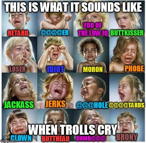 I missed one... anyone... anyone??? |  THIS IS WHAT IT SOUNDS LIKE; WHEN TROLLS CRY | image tagged in memes,funny,trolls | made w/ Imgflip meme maker
