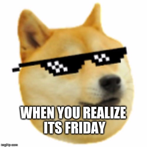 WHEN YOU REALIZE ITS FRIDAY | image tagged in thug doge | made w/ Imgflip meme maker