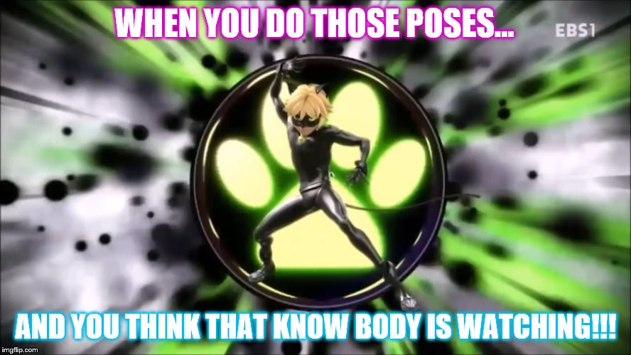 #Cat Noir | WHEN YOU DO THOSE POSES... AND YOU THINK THAT KNOW BODY IS WATCHING!!! | image tagged in maracolous | made w/ Imgflip meme maker