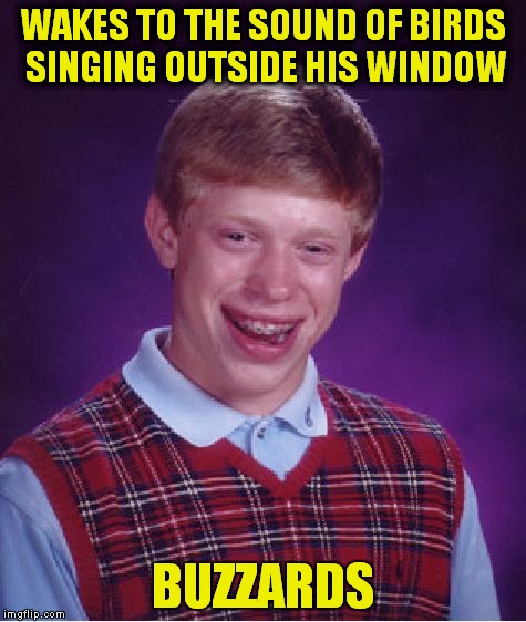 Bad Luck Brian Meme | WAKES TO THE SOUND OF BIRDS SINGING OUTSIDE HIS WINDOW; BUZZARDS | image tagged in memes,bad luck brian | made w/ Imgflip meme maker
