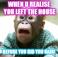 WHEN U REALISE YOU LEFT THE HOUSE; BEFORE YOU DID YOU HAIR! | image tagged in monkey memes | made w/ Imgflip meme maker