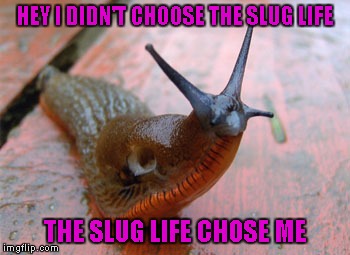 HEY I DIDN'T CHOOSE THE SLUG LIFE THE SLUG LIFE CHOSE ME | made w/ Imgflip meme maker