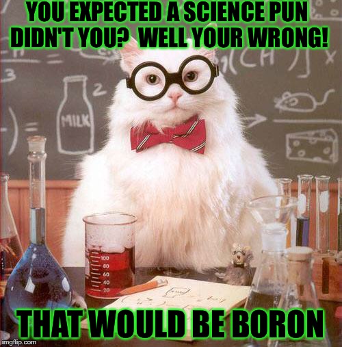 Science Cat | YOU EXPECTED A SCIENCE PUN DIDN'T YOU?  WELL YOUR WRONG! THAT WOULD BE BORON | image tagged in science cat | made w/ Imgflip meme maker