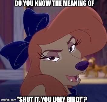 Do You Know The Meaning Of "Shut It, You Ugly Bird!"? | DO YOU KNOW THE MEANING OF; "SHUT IT, YOU UGLY BIRD!"? | image tagged in dixie,memes,the fox and the hound 2,reba mcentire,dog | made w/ Imgflip meme maker