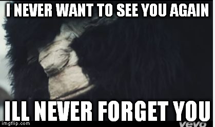 I NEVER WANT TO SEE YOU AGAIN; ILL NEVER FORGET YOU | image tagged in im listening | made w/ Imgflip meme maker