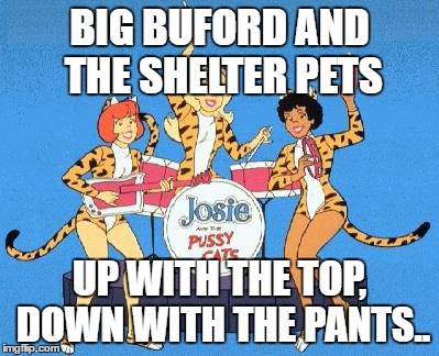 pussy cats | BIG BUFORD AND THE SHELTER PETS; UP WITH THE TOP, DOWN WITH THE PANTS.. | image tagged in pussy cats | made w/ Imgflip meme maker