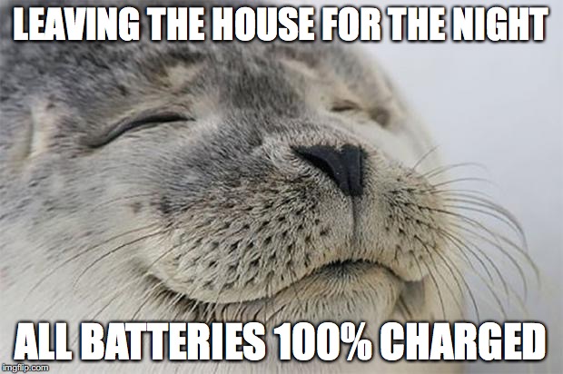 Satisfied Seal | LEAVING THE HOUSE FOR THE NIGHT; ALL BATTERIES 100% CHARGED | image tagged in memes,satisfied seal,AdviceAnimals | made w/ Imgflip meme maker