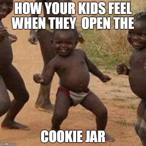Third World Success Kid | HOW YOUR KIDS FEEL WHEN THEY  OPEN THE; COOKIE JAR | image tagged in memes,third world success kid | made w/ Imgflip meme maker
