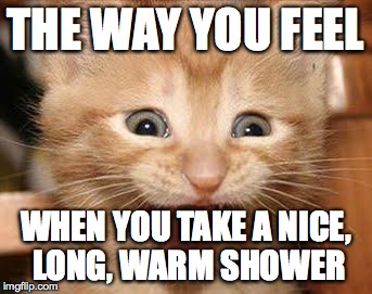 Excited Cat Meme | THE WAY YOU FEEL; WHEN YOU TAKE A NICE, LONG, WARM SHOWER | image tagged in memes,excited cat | made w/ Imgflip meme maker