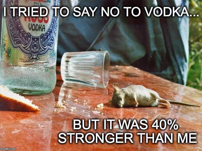 I just can't say 'NYET'... | I TRIED TO SAY NO TO VODKA... BUT IT WAS 40% STRONGER THAN ME | image tagged in dead mouse,funny meme,alcohol,vodka,janey mack,stronger than me | made w/ Imgflip meme maker