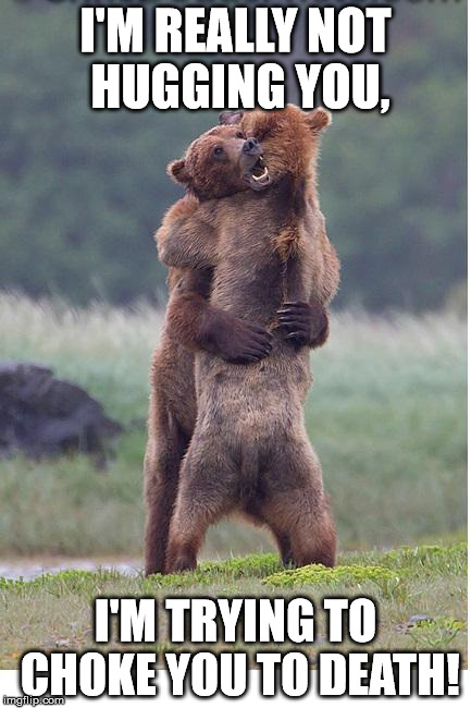 Do you seriously think I love you?! | I'M REALLY NOT HUGGING YOU, I'M TRYING TO CHOKE YOU TO DEATH! | image tagged in hugging bears | made w/ Imgflip meme maker