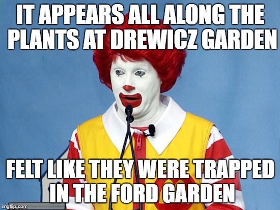 A TRANS-PLANT | IT APPEARS ALL ALONG THE PLANTS AT DREWICZ GARDEN FELT LIKE THEY WERE TRAPPED IN THE FORD GARDEN | image tagged in ronald mcdonald,garden | made w/ Imgflip meme maker