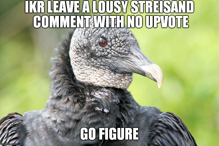IKR LEAVE A LOUSY STREISAND COMMENT WITH NO UPVOTE GO FIGURE | made w/ Imgflip meme maker