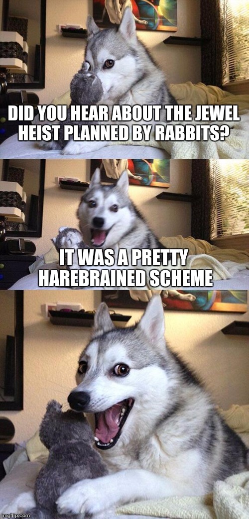 Bad Pun Dog | DID YOU HEAR ABOUT THE JEWEL HEIST PLANNED BY RABBITS? IT WAS A PRETTY HAREBRAINED SCHEME | image tagged in memes,bad pun dog | made w/ Imgflip meme maker