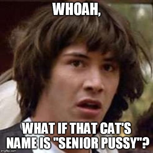 Conspiracy Keanu Meme | WHOAH, WHAT IF THAT CAT'S NAME IS "SENIOR PUSSY"? | image tagged in memes,conspiracy keanu | made w/ Imgflip meme maker