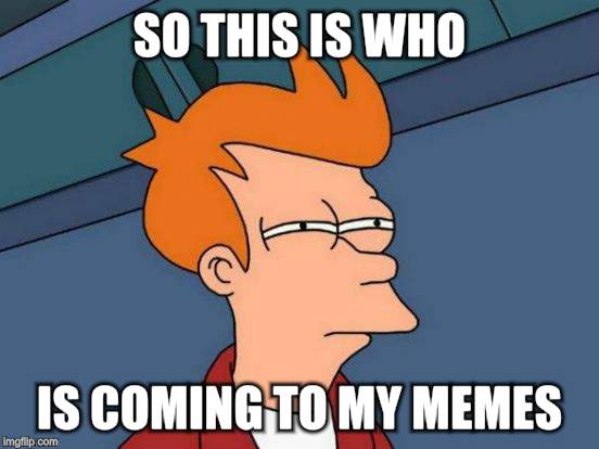 Futurama Fry Meme | SO THIS IS WHO IS COMING TO MY MEMES | image tagged in memes,futurama fry | made w/ Imgflip meme maker