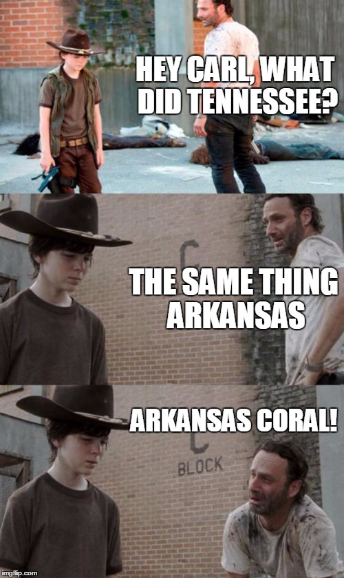 Rick and Carl 3 Meme | HEY CARL, WHAT DID TENNESSEE? THE SAME THING ARKANSAS; ARKANSAS CORAL! | image tagged in memes,rick and carl 3,HeyCarl | made w/ Imgflip meme maker