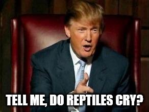 Donald Trump | TELL ME, DO REPTILES CRY? | image tagged in donald trump | made w/ Imgflip meme maker