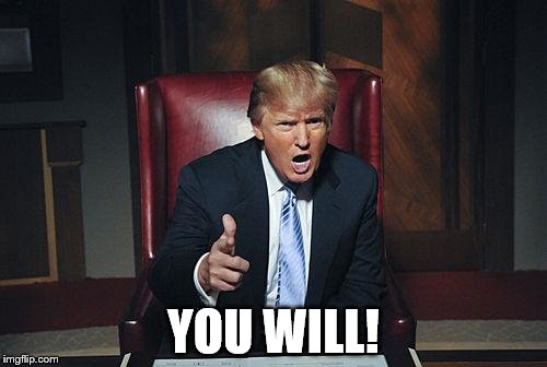 Donald Trump You're Fired | YOU WILL! | image tagged in donald trump you're fired | made w/ Imgflip meme maker