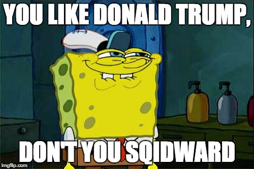 Don't You Squidward Meme | YOU LIKE DONALD TRUMP, DON'T YOU SQIDWARD | image tagged in memes,dont you squidward | made w/ Imgflip meme maker