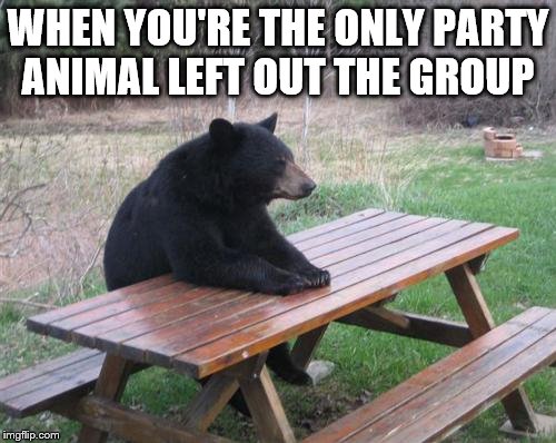 Bad Luck Bear | WHEN YOU'RE THE ONLY PARTY ANIMAL LEFT OUT THE GROUP | image tagged in memes,bad luck bear | made w/ Imgflip meme maker