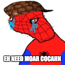 theh cocahn | EH NEED MOAR COCAHN | image tagged in spooderman,cocaine,swag,scumbag,high | made w/ Imgflip meme maker