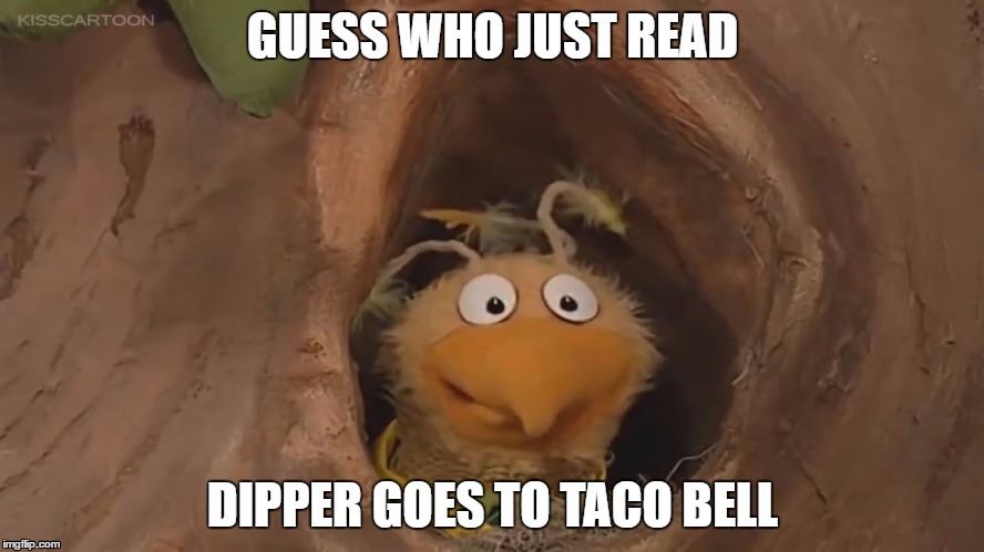 GUESS WHO JUST READ; DIPPER GOES TO TACO BELL | image tagged in terrence mcbird | made w/ Imgflip meme maker