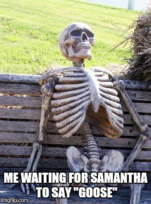 Waiting Skeleton Meme | ME WAITING FOR SAMANTHA TO SAY "GOOSE" | image tagged in memes,waiting skeleton | made w/ Imgflip meme maker