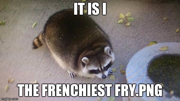 IT IS I; THE FRENCHIEST FRY.PNG | image tagged in dank meme | made w/ Imgflip meme maker