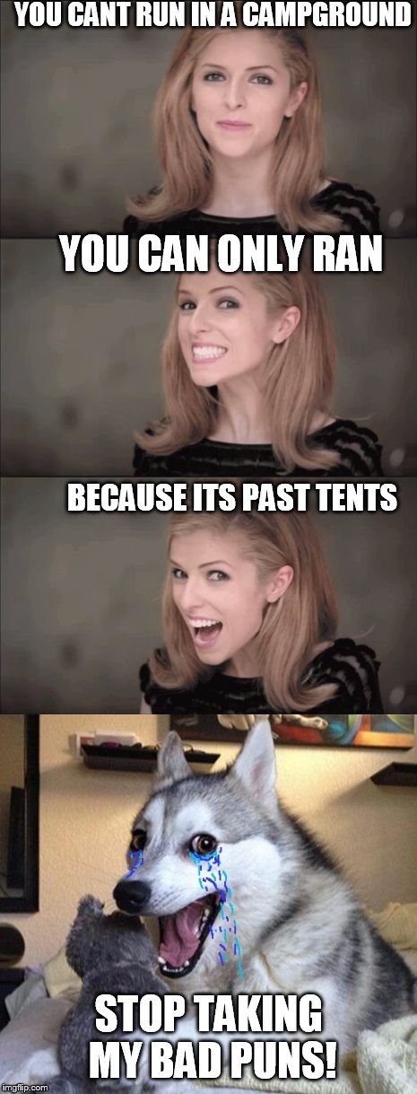 Bad Pun Anna makes Bad Pun Dog cry |  YOU CANT RUN IN A CAMPGROUND; YOU CAN ONLY RAN; BECAUSE ITS PAST TENTS; STOP TAKING MY BAD PUNS! | image tagged in bad pun anna makes bad pun dog cry | made w/ Imgflip meme maker